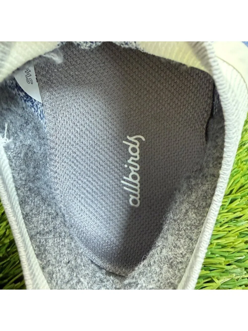 allbirds please review